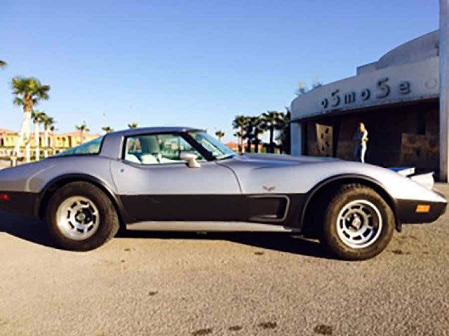 CHEVROLET CORVETTE C3 25 anniversaire cabriolet Gris clair occasion