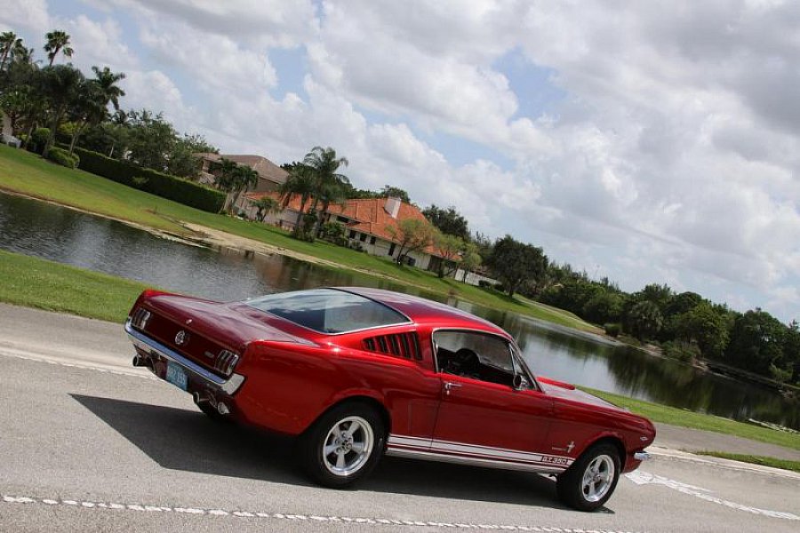 Vente de ford mustang shelby #9