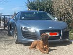 AUDI R8 I V8 4.2 FSI Quattro 420ch coupé Bleu clair occasion - 51 000 €, 105 000 km