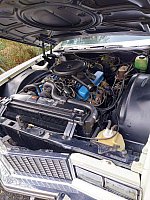 CADILLAC ELDORADO Serie 8 4.6 L V8 cabriolet Beige occasion - 26 000 €, 106 600 km