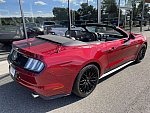 FORD MUSTANG VI (2015 - 2022) GT 421 ch cabriolet occasion - 50 900 €, 71 370 km