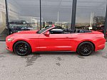 FORD MUSTANG VI (2015 - 2022) GT 421 ch cabriolet occasion - 37 900 €, 42 500 km