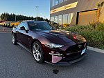 FORD MUSTANG VI (2015 - 2022) GT 450 ch coupé occasion - 49 900 €, 98 650 km