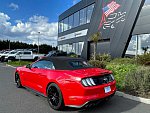 FORD MUSTANG VI (2015 - 2022) GT 450 ch cabriolet occasion - 59 900 €, 36 000 km