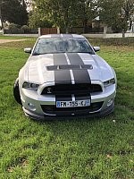 FORD MUSTANG V (2005 - 2014) Serie 2 Shelby GT500 coupé Gris clair occasion - 85 000 €, 42 800 km