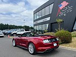 FORD MUSTANG VI (2015 - 2022) GT 450 ch cabriolet occasion - 54 900 €, 40 100 km