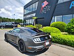 FORD MUSTANG VI (2015 - 2022) GT 450 ch MAGNERIDE coupé occasion - 47 990 €, 78 282 km