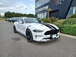 FORD MUSTANG VI (2015 - 2022) GT 450 ch coupé occasion - 52 990 €, 43 000 km