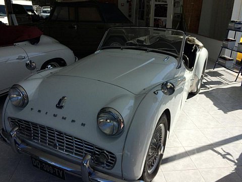 Triumph Occasion